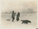 Image of Bringing in a seal (Kavavou and Pitseolak Ashoona]